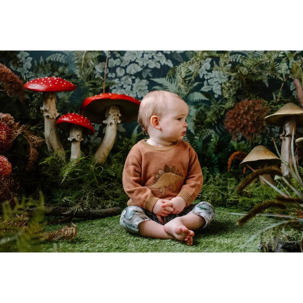 Fleur Harris Stegosaurus Knit Jumper (Cedar)