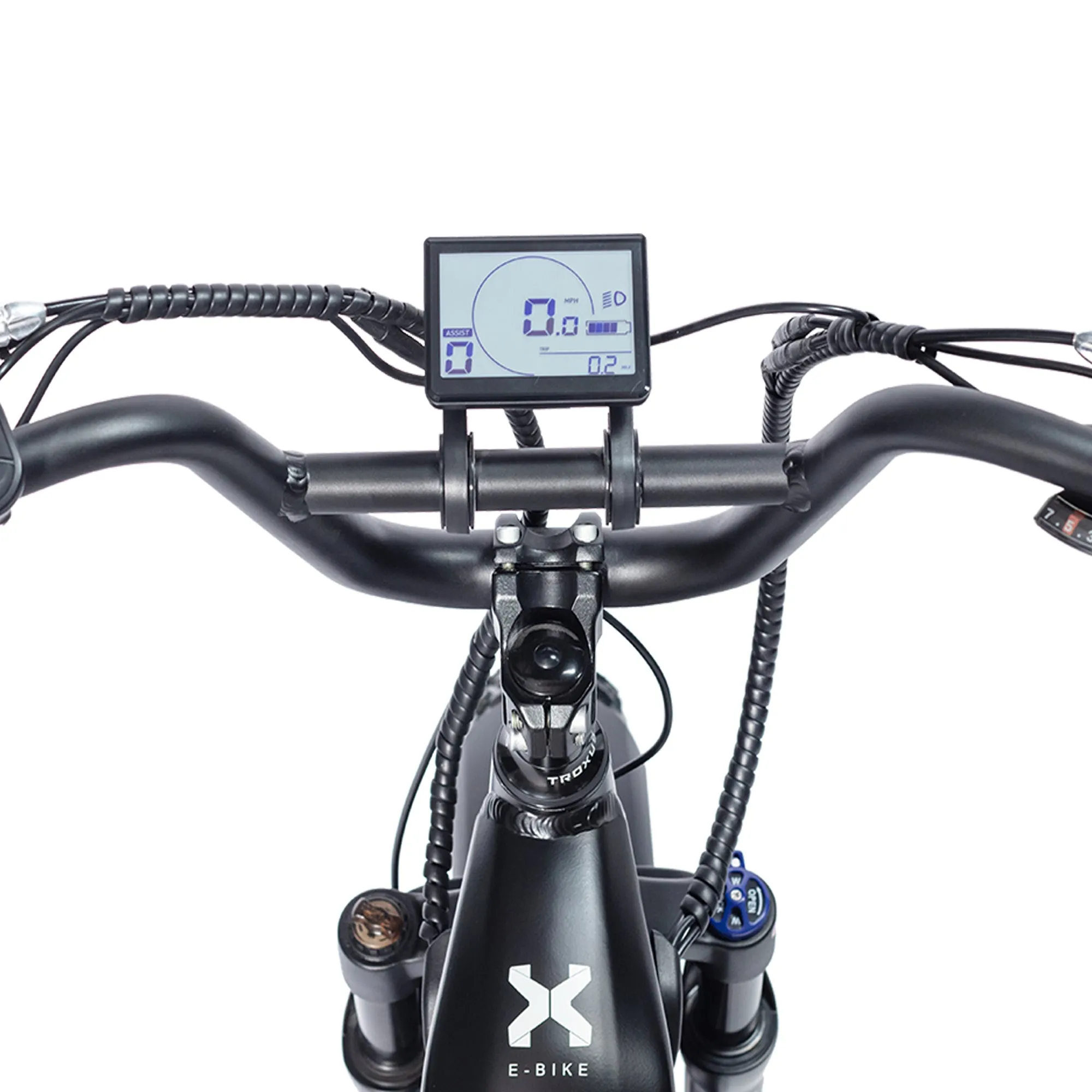Lynx 20'' Fat Tire E-bike