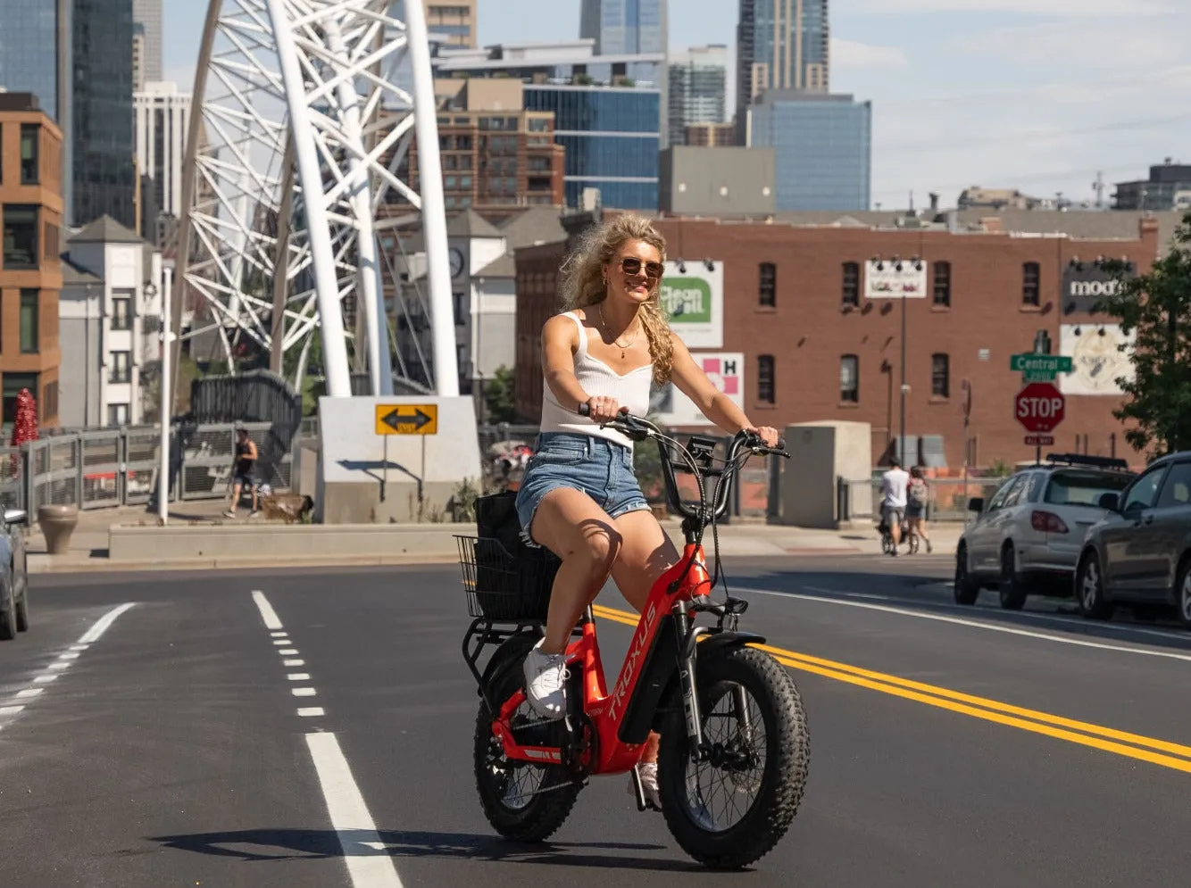 Lynx 20'' Fat Tire E-bike