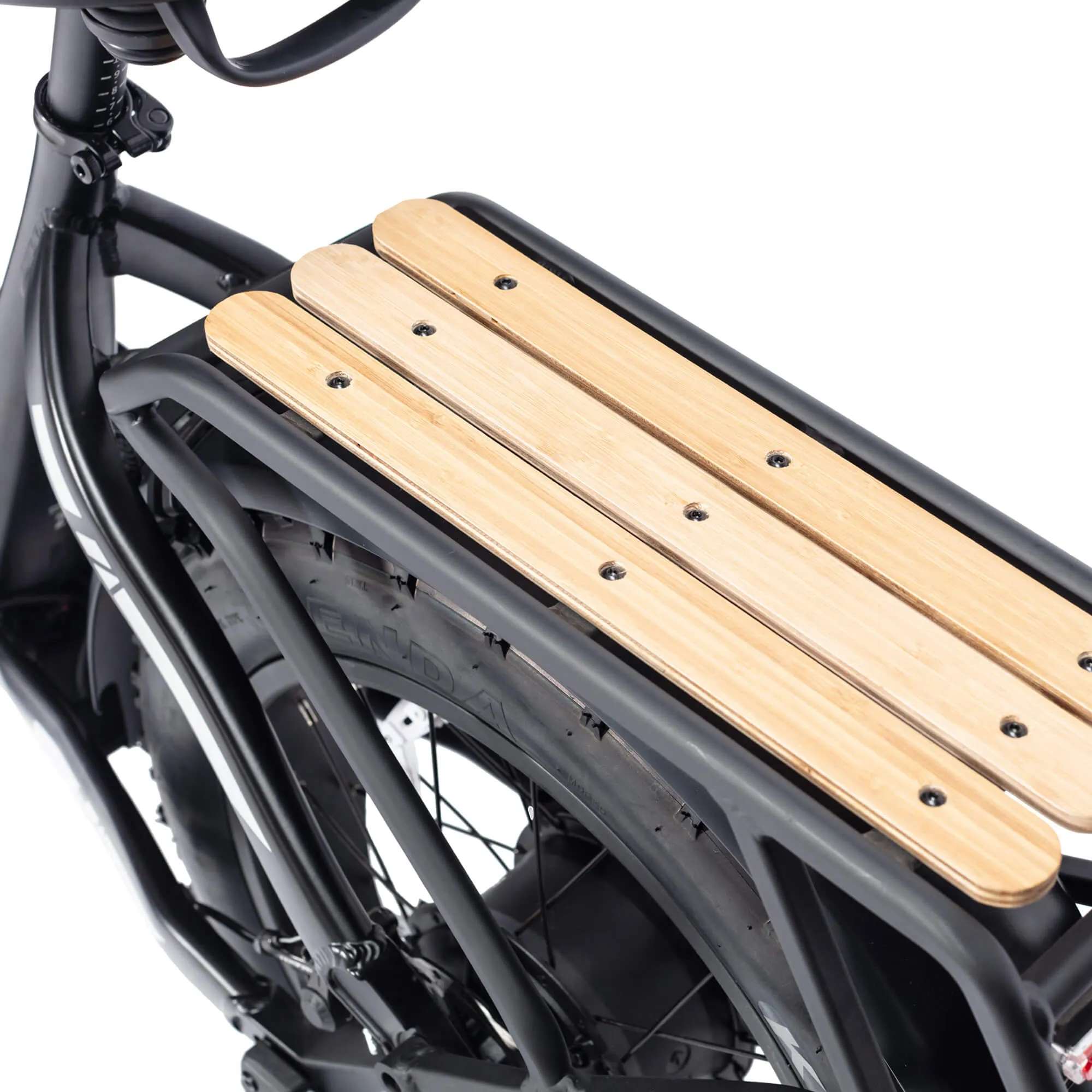 Lynx 20'' Fat Tire E-bike