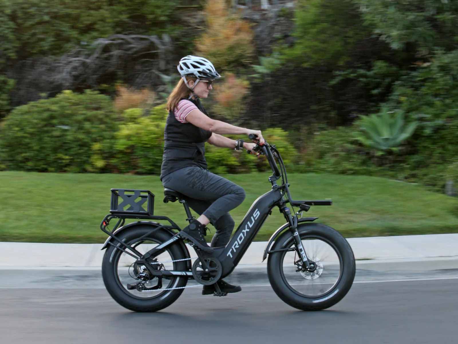Lynx 20'' Fat Tire E-bike