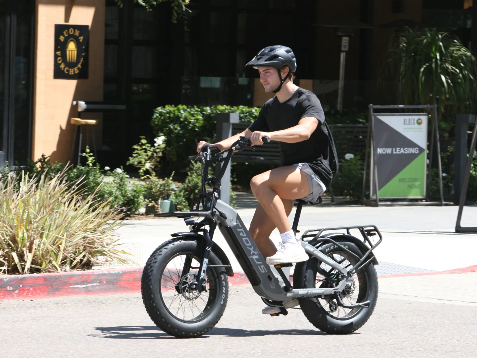 Lynx 20'' Fat Tire E-bike