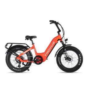 Lynx 20'' Fat Tire E-bike