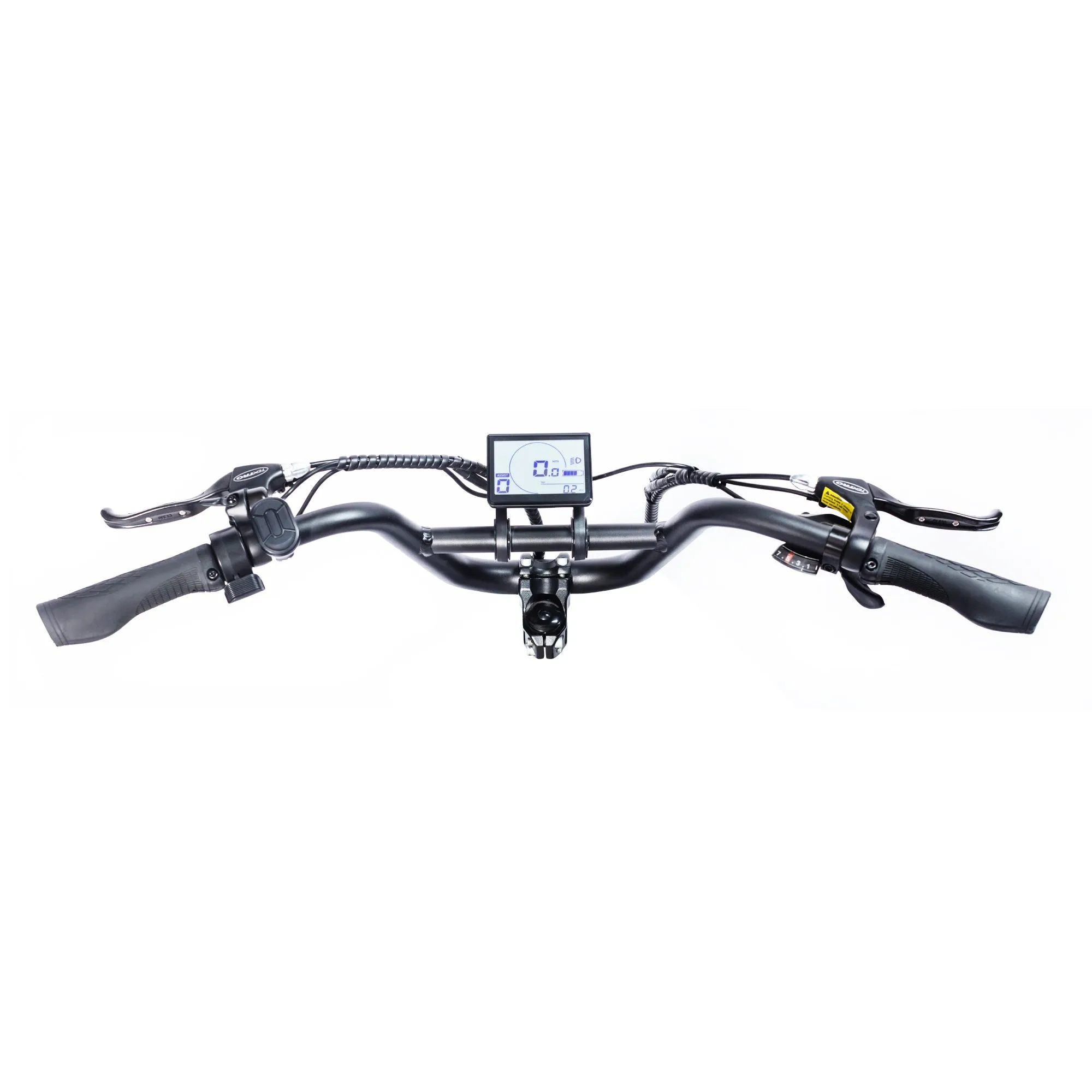 Lynx 20'' Fat Tire E-bike