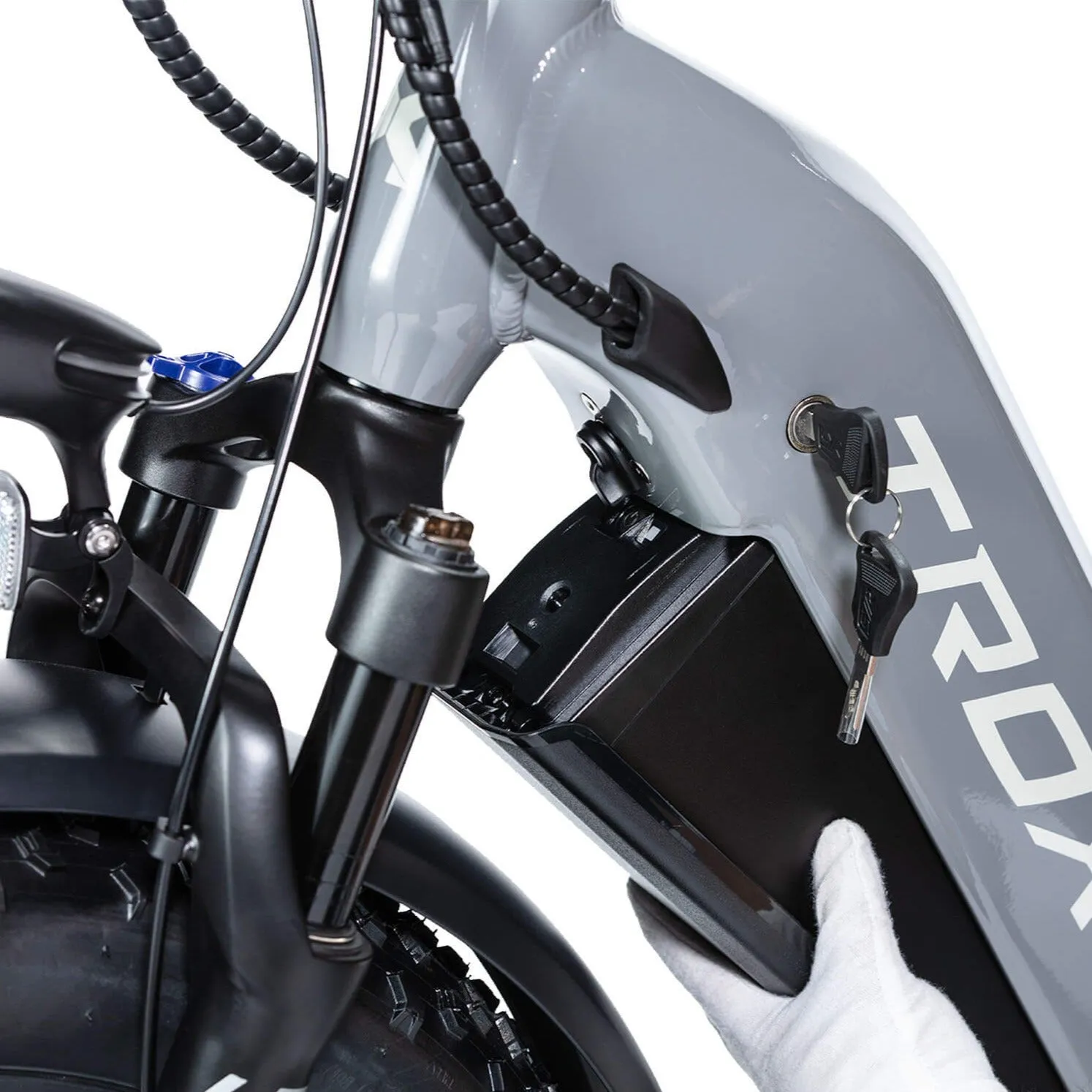 Lynx 20'' Fat Tire E-bike