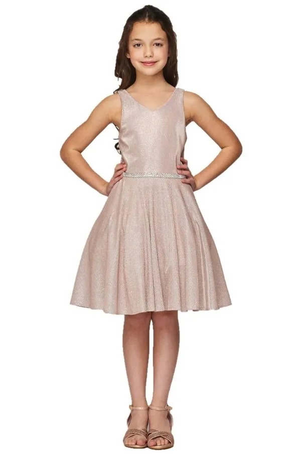 Shiny Metallic Girl Party Dress by Cinderella Couture USA AS8013