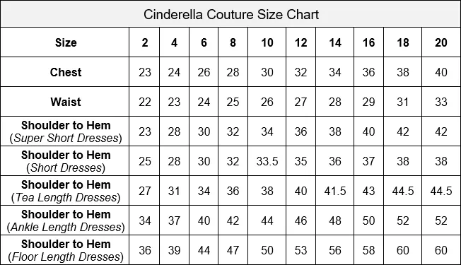 Shiny Metallic Girl Party Dress by Cinderella Couture USA AS8013