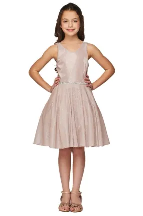 Shiny Metallic Girl Party Dress by Cinderella Couture USA AS8013